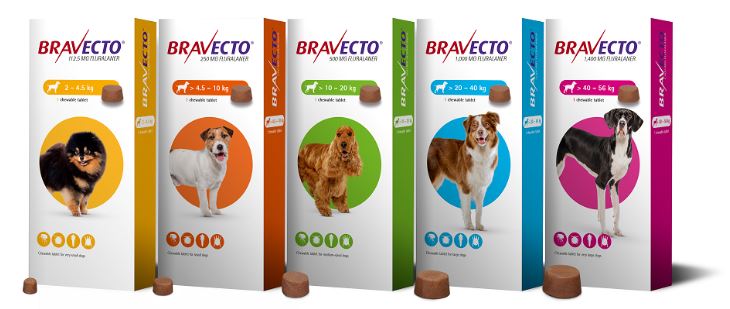 Bravecto chewable tablets MSD Animal Health Northern Ireland