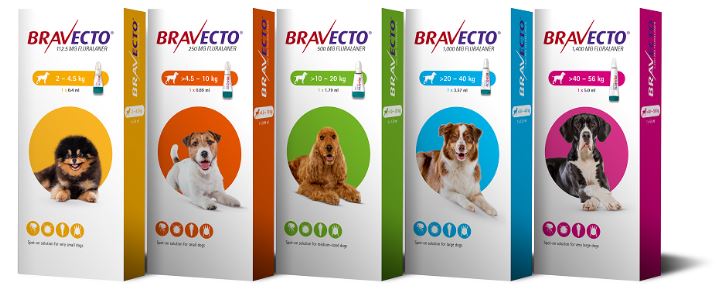 Bravecto topical solution for dogs hotsell