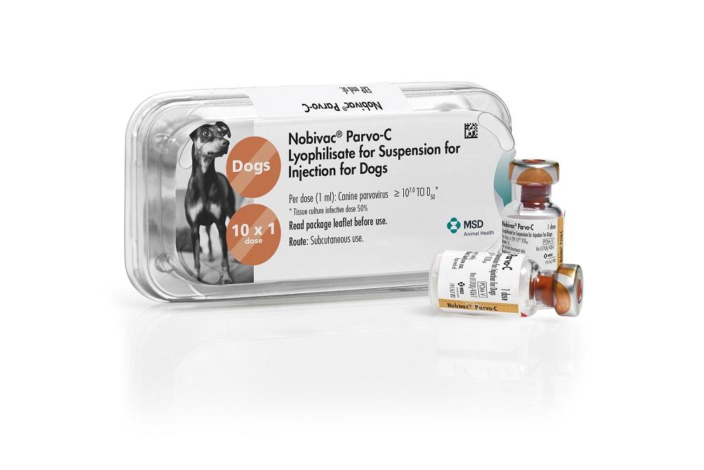 Are dogs best sale vaccinated for parvo